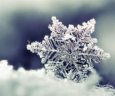 Snowflake Closeup Pictures, Photos, and Images for Facebook, Tumblr, Pinterest, and Twitter