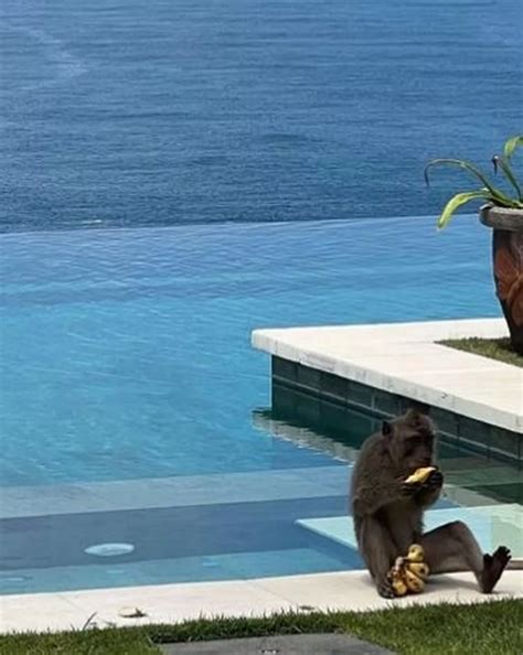 Influencer Tammy Hembrow Flaunts Toned Bikini Body On 115 A Night Bali Retreat Daily Star