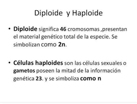 en general simultáneo mostrar cuales son las celulas haploides y