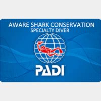 PADI AWARE Shark Conservation Diver Course