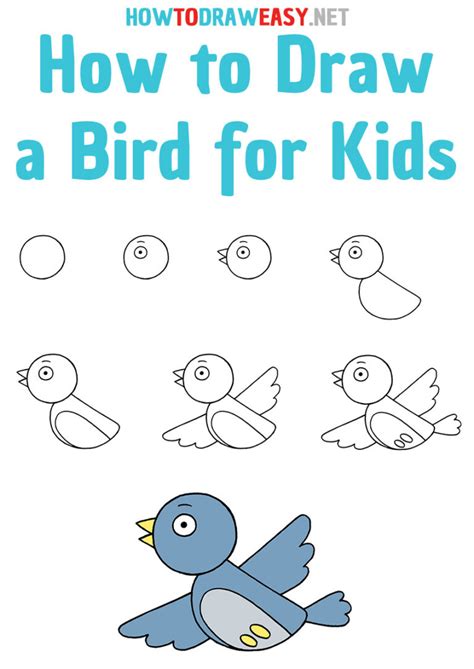 How to Draw a Bird for Kids - How to Draw Easy