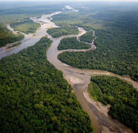 Premium Photo | Aerial view over amazon rainforest