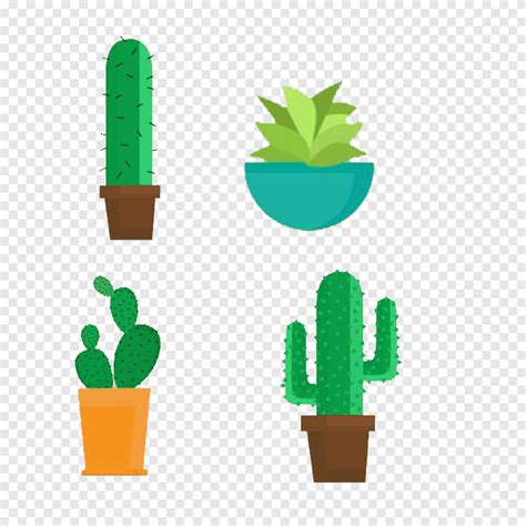 Cactaceae Flowerpot Euclidean Green Cactus Plant Motifs Grass Cactus