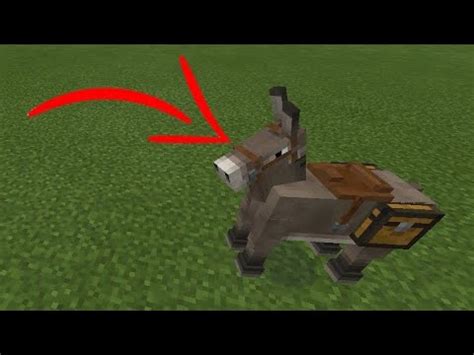 Como Colocar Ba No Burro No Craftsman Youtube