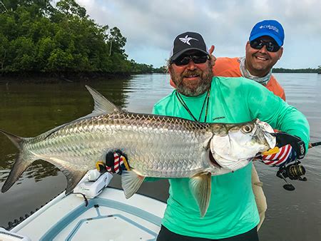 Florida Fishing Seasons-tarpon fishing season