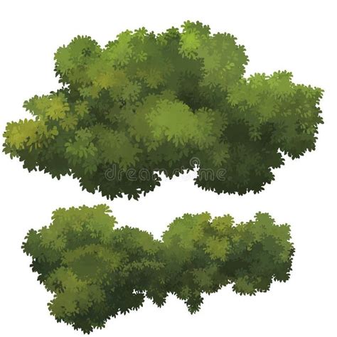Green Bush Stock Illustration Illustration Of Green 60227584
