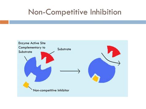 Ppt Enzymes Activation And Deactivation Powerpoint Presentation Id