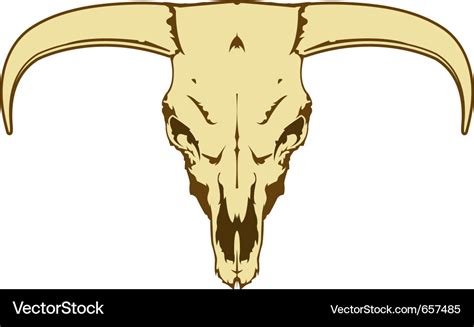 Steer skull Royalty Free Vector Image - VectorStock