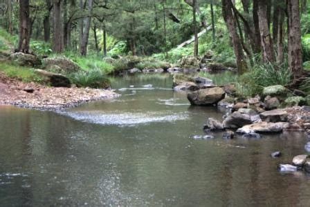 Gallivantour: Queen Mary Falls Qld