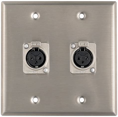 Pro Co WP2034 Double Gang Stainless Steel Wall Plate With 2 Reverb