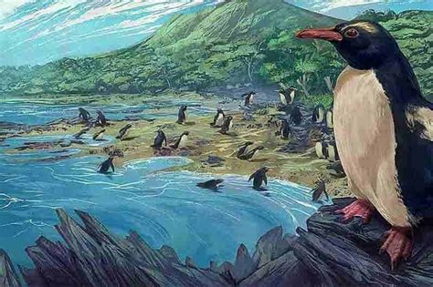 Newly-described fossils reveal an ancient origin for New Zealand ...