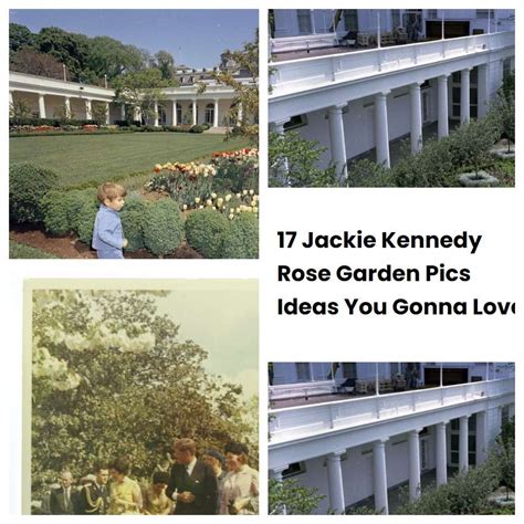 17 Jackie Kennedy Rose Garden Pics Ideas You Gonna Love SharonSable