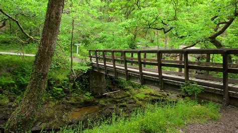 Brecon Beacons National Park Tours - Book Now | Expedia