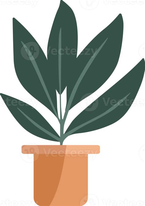 Plantas En Maceta Png