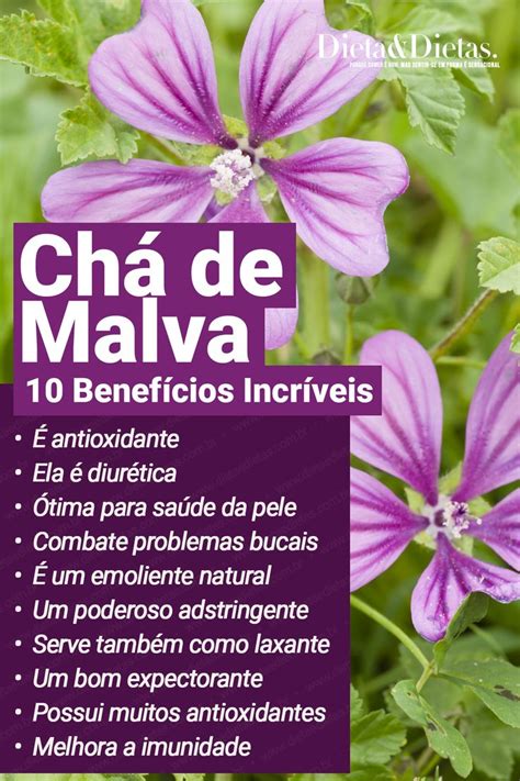 Benef Cios Do Ch De Malva Ch S Medicinais Ervas Curativas Ervas