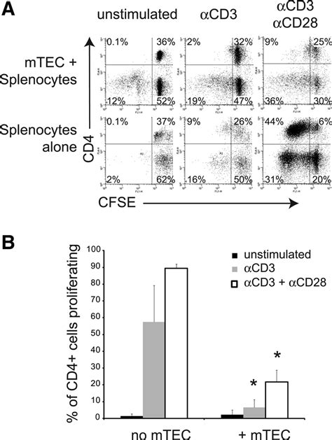 Airway Epithelial Cells Ecs Inhibit T Cell Proliferation Freshly Download Scientific Diagram