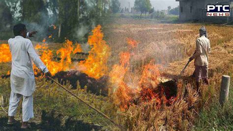 Stubble Burning Haryana Targets Delhi And Punjab Claims More Farm