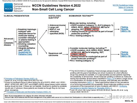 首次增加her2基因靶向治疗，2022v4版非小细胞肺癌nccn指南更新 Enhertu 检测 评估