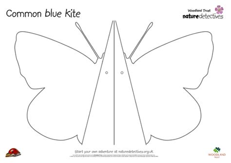 Make A Butterfly Kite Teaching Resources