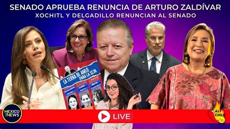 ENVIVO Senadores de Morena aconsejan y aplauden a Xóchitl Aprueban