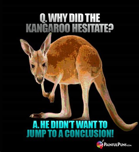 Kangaroo Jokes, Roo Puns, Joey Grins 3 | PainfulPuns.com