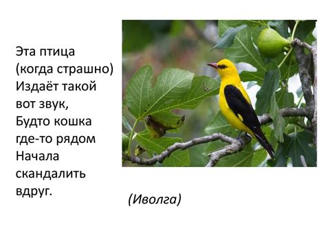 Угадай слово. Игра - презентация онлайн