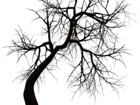 Download Dead Tree Clipart Noose Silhouette Transparent Haunted House