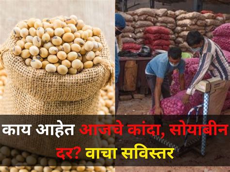 राज्यात सोयाबीन कांद्याचे दर किती जाणून घ्या सविस्तर Maharashtra Today Prices Of Soybeans