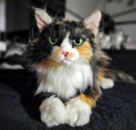 Tortoiseshell Cat Stuffed Animal | Get A Custom Tortoiseshell Cat Plush