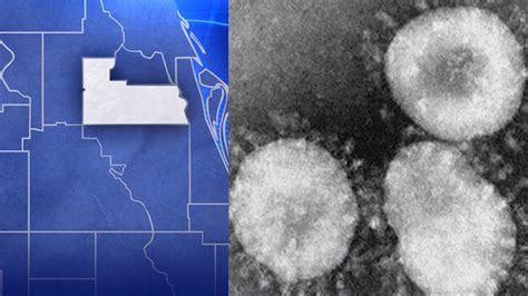 Initial testing reveals omicron COVID variant detected in Orange County wastewater, officials ...