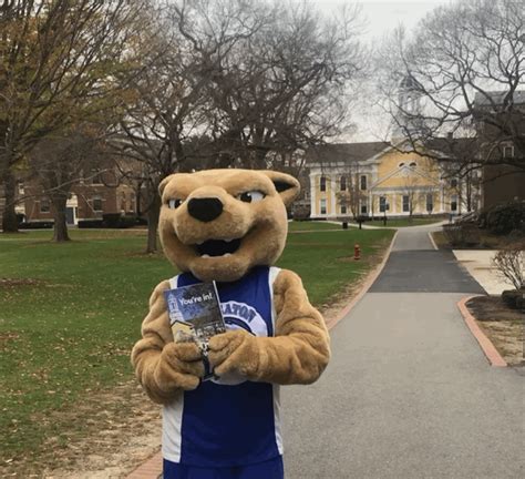 College Mascot GIF by Wheaton College (MA) - Find & Share on GIPHY