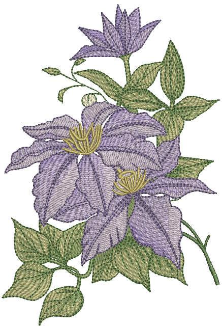 Clematis Minister Bouquet Embroidery Design