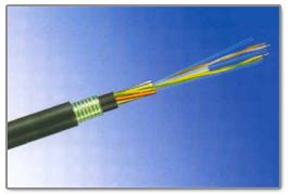 Hybrid Armoured Optical Fibre Cable At Best Price In Rewa Birla Cable