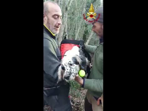 Cane Da Caccia Precipita In Una Voragine Di 45 Metri Gonews It