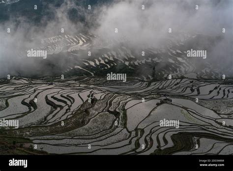 Rice terraces, Yunnan, China Stock Photo - Alamy