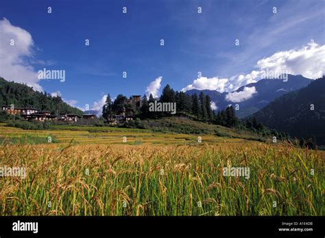 Drukgyel Dzong Hi Res Stock Photography And Images Alamy