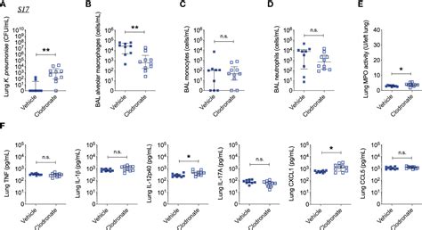 Frontiers Phagocytosis Is A Primary Determinant Of Pulmonary