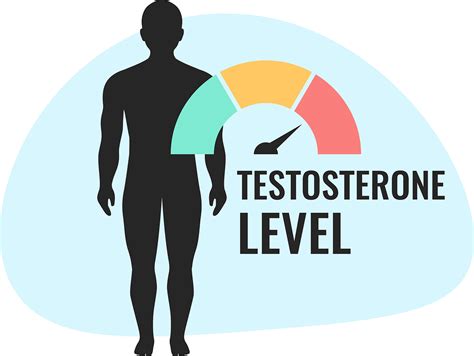 All About Testosterone Treatment Hormonetherapy La