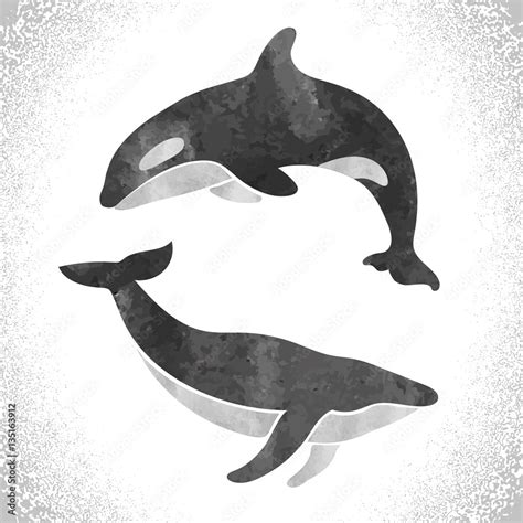 Watercolor killer whale and fin whale isolated on white. Vector set ...