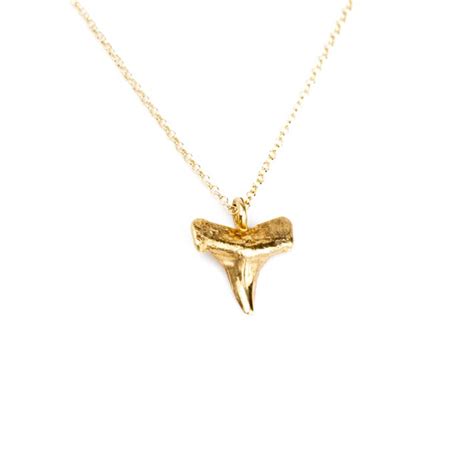 Shark Tooth Necklace: 10k Gold