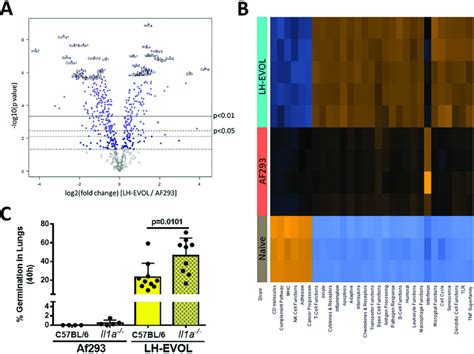 Differential Pulmonary Inflammatory Gene Expression And Immune Response