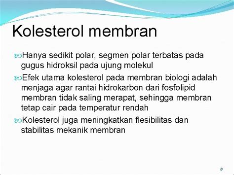 STRUKTUR DAN FUNGSI MEMBRAN PLASMA Biologi Sel 2010