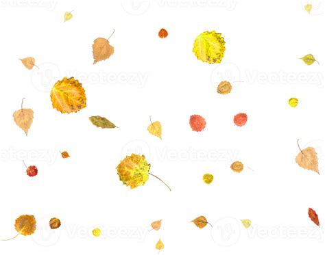 Falling Autumn Leaves Png