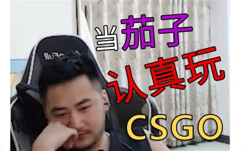 【illyaandpurple】当茄子认真玩csgo哔哩哔哩bilibili