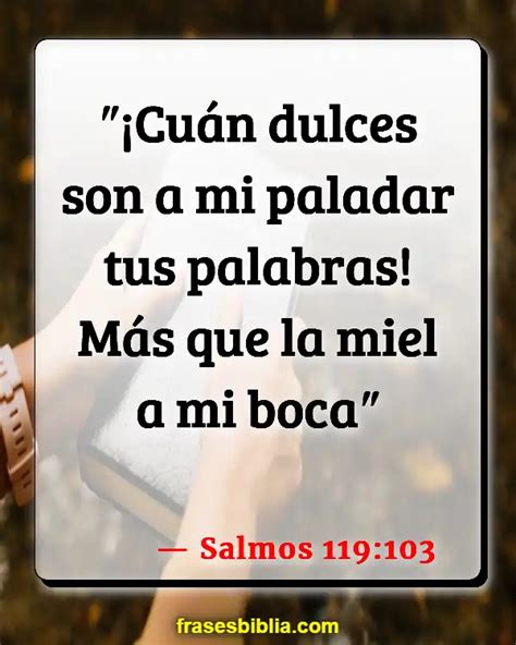 Vers Culos De La Biblia Los Cinco Sentidos