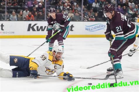 Ducks Fall Short Against Predators Daily News Video Reddit Trend