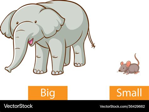 Opposite adjectives words with big and small Vector Image