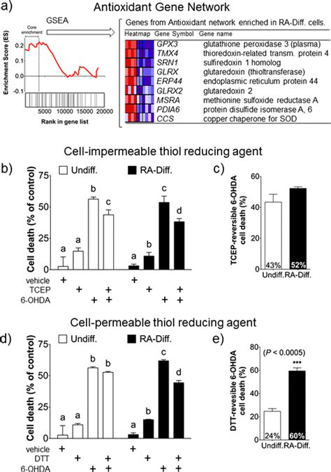 Redox Characterization Of Undifferentiated And Ra Differentiated