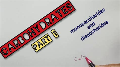 Carbohydrates Part 1 Monosaccharides And Disaccharides Structures And Functions Youtube