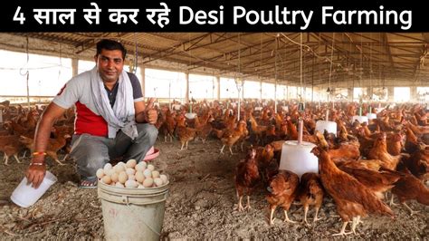 Desi Murgi Farm Business फयद य नकसन Desi poultry Farming Rir